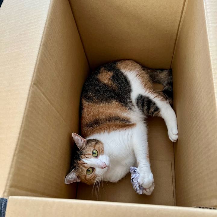 47a50b7c 462d 461f bb43 f47b714a0ddf 1758771349390