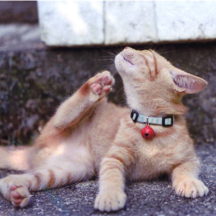 47a54fec 4fb7 477b b2c8 7a7b79b40177 1533684014327