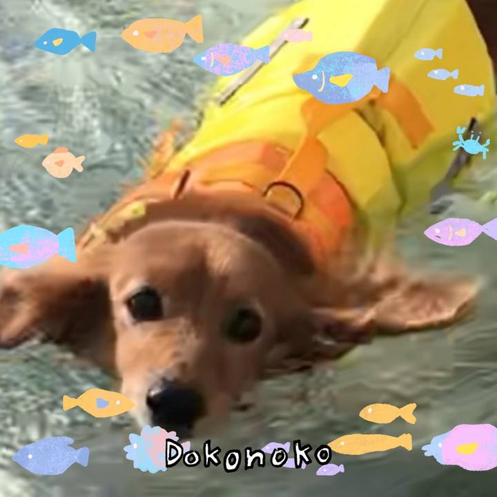 47a557b8 261d 4ab3 a912 3e7fc343d6f5 1755311404884