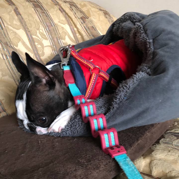 47a57d42 77e9 4eb8 b3fc 5b2e51078dc9 1550054123627