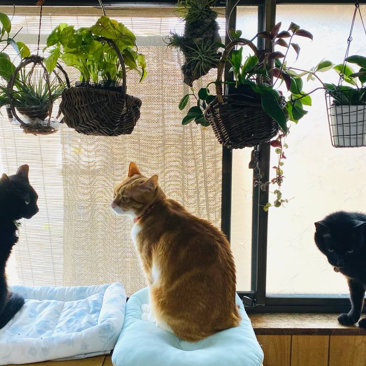 47a59049 0330 4d7a a165 b4ea2a355ee8 1717283120722