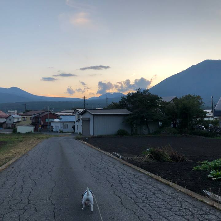 47a5ef76 cc40 4cbf 8eed c26a6f108074 1569932295688