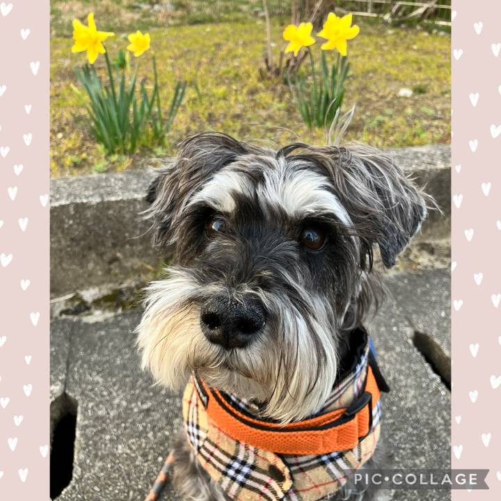 47a679c8 5aef 420c 9c37 cb79bf5088e4 1774708414631