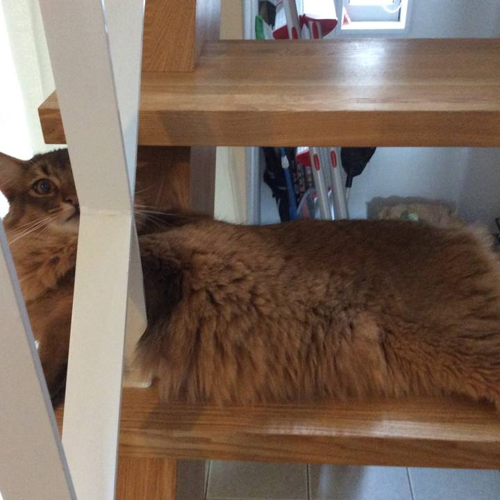 47a6b103 24df 4107 a194 fbcd784dda3b 1595463000684