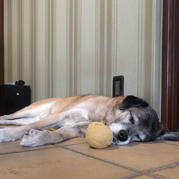 47a6be01 a662 4d49 9fde 737aeb44cee2 1518753592394