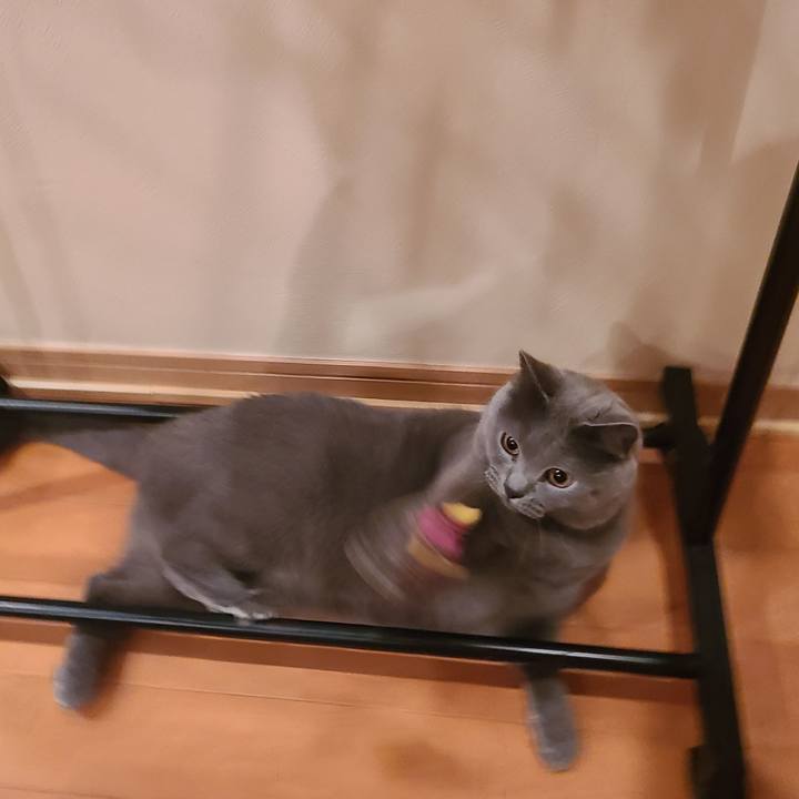 47a6c46a 5c64 4af8 aa3a 5e778f959711 1600996064431