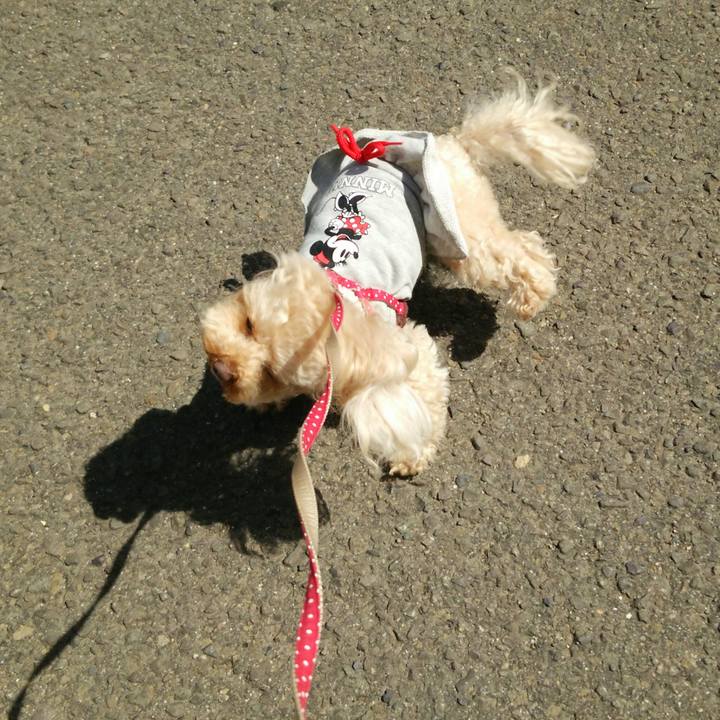 47a6e599 a1b6 417d 8df5 a335524a6c07 1521457499840