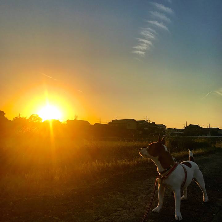 47a6f9a4 3f83 4e7b b597 2da9d971a673 1509530251574