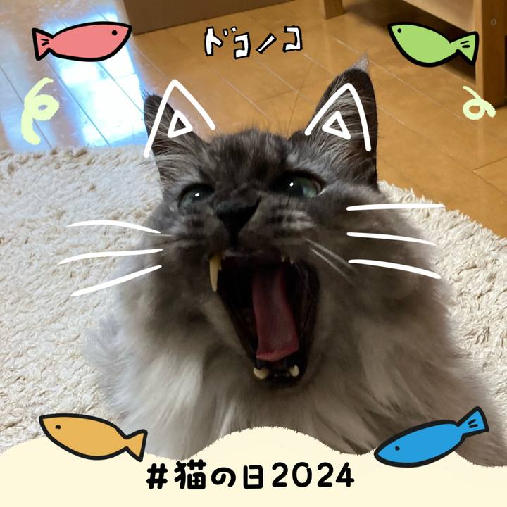 47a72e54 2c42 47e2 9156 b5601f215ab7 1708541132516