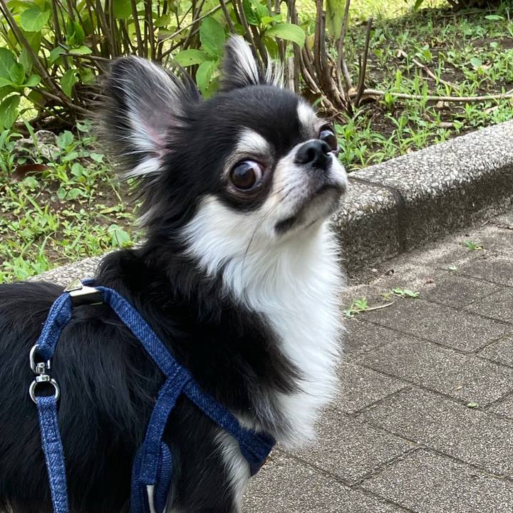 47a754e1 7bd6 45b5 8f98 4538f77b715e 1623558886225