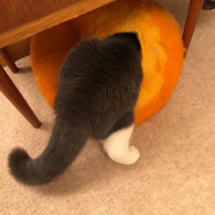 47a769be 99ae 4540 9d84 9160e81af469 1541407522010