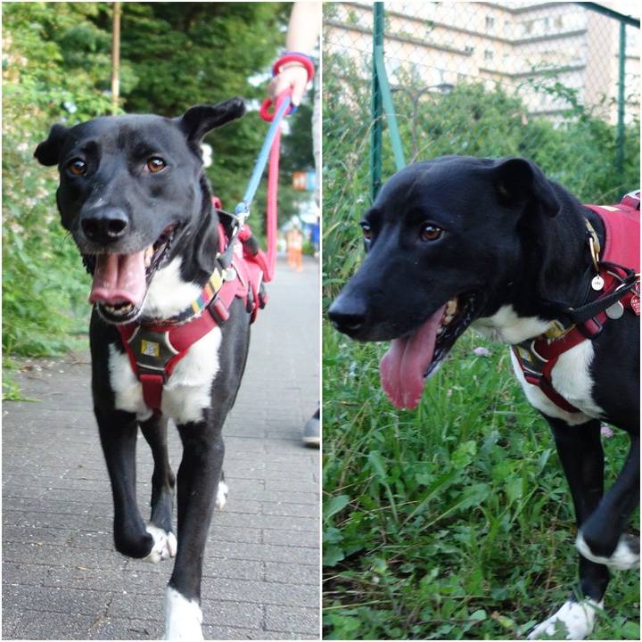 47a79517 081d 4b3c 975a 8bd76717683b 1593429146280