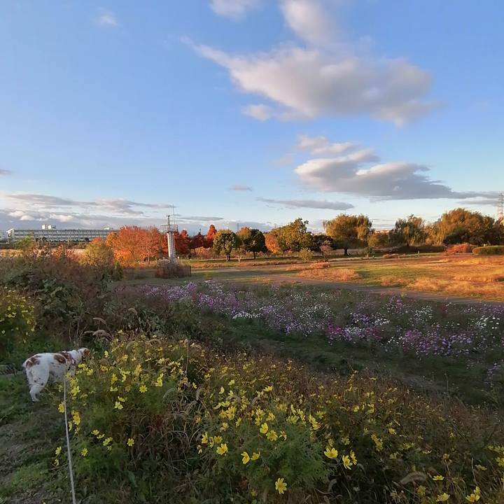 47a7cfef d385 4196 9f2d 92c0d7779fba 1605923229501