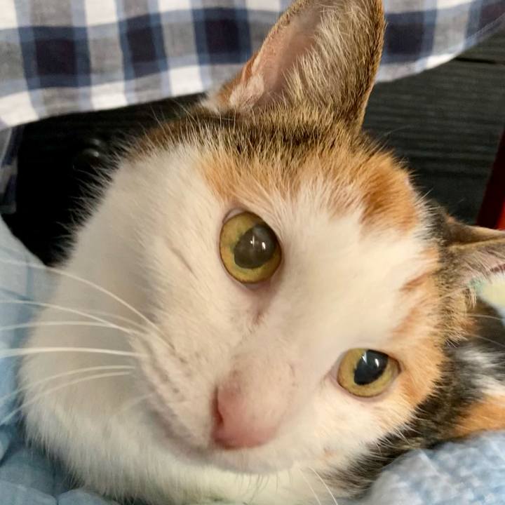 47a80beb 3d9b 42fc 883c b084fa757d78 1631352845336