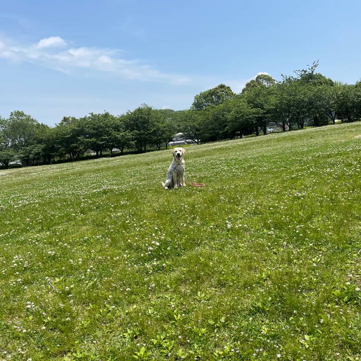 47a828ad 135c 48e3 9e46 7d04e572a9e5 1620962389678