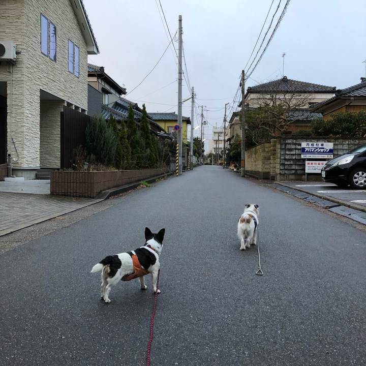 47a851f1 fab2 4d7b acd6 d6c2c95a7e18 1545179752154