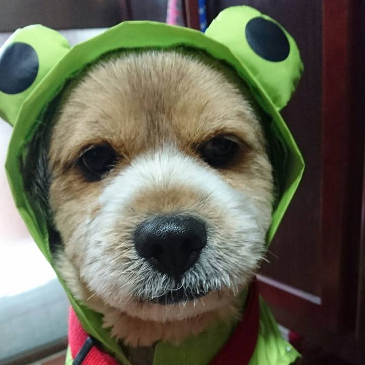 47a85e04 b9e0 483f aa2b b2fae32fa7af 1529399417927