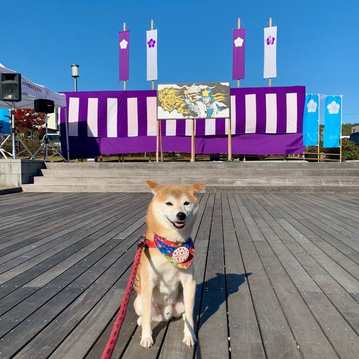 47a8a807 e9f5 484f 8206 5e3d8021b2c3 1636887122136