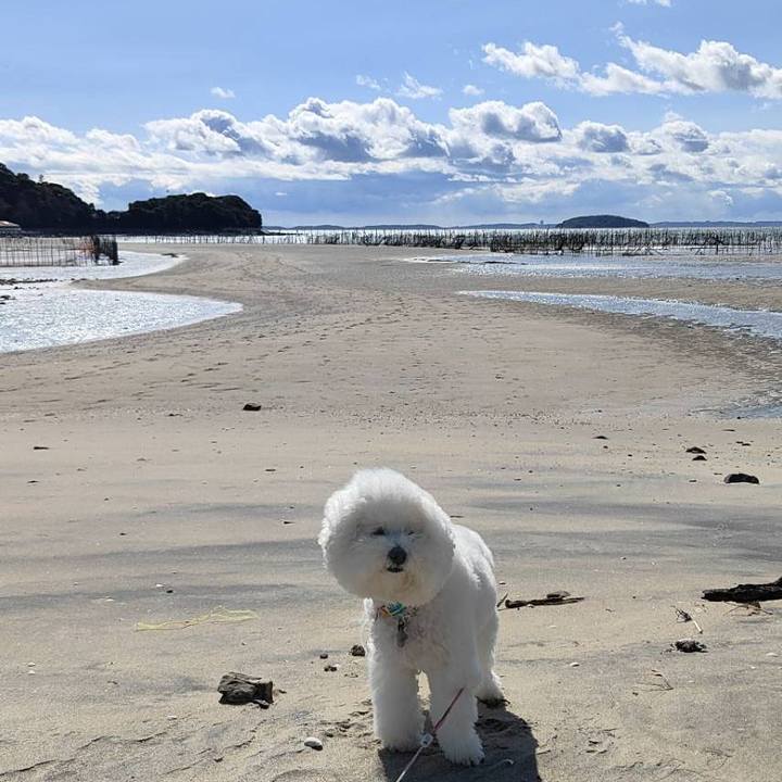 47a8b078 8aaa 4830 bdc6 2d5f27428b9d 1763068348914