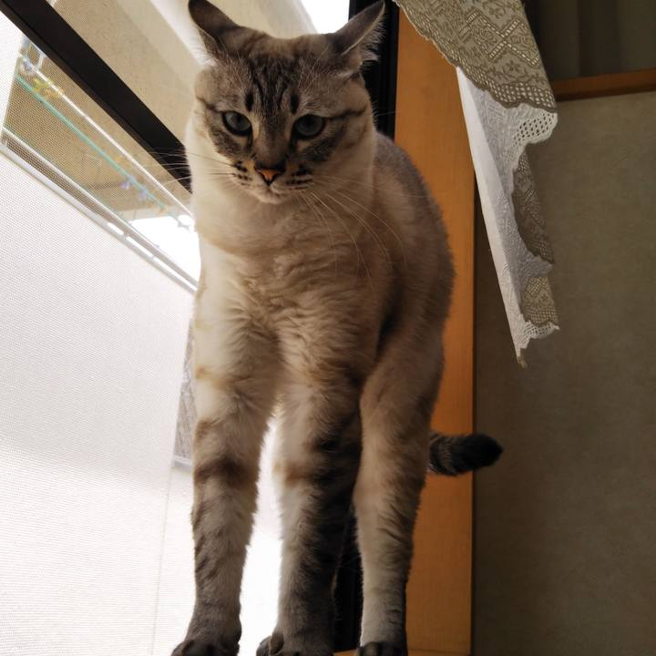 47a8d013 a3db 49ed b695 5e56e135b7a0 1529549108236