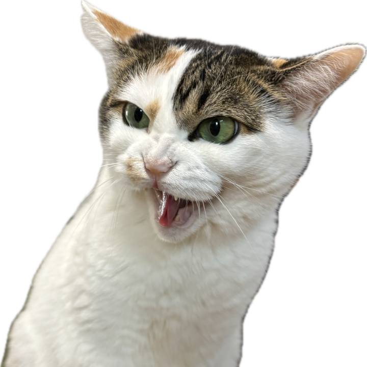 47a8e51e 9359 47ee 8f96 b7e5850d6403 1697601958009