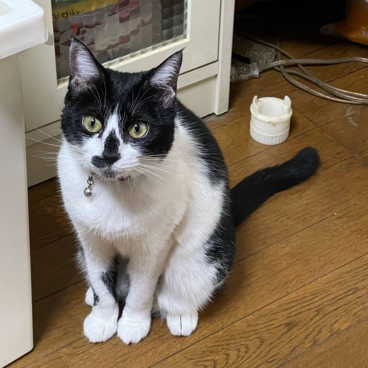 47a9165b 1415 4e80 a8cd b566b7e4fbea 1768186030716