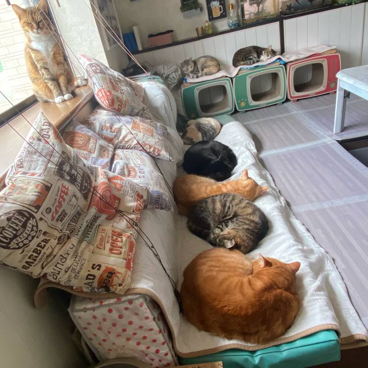 47a98bdf 7286 4dbf 829c d33fda1597ed 1639711626623