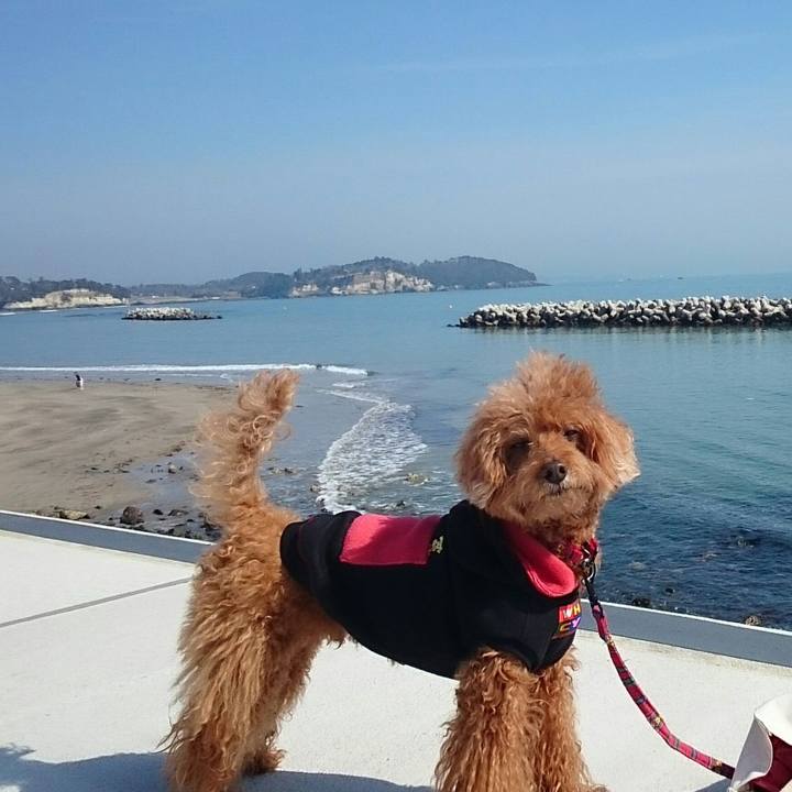 47a99090 98b2 4554 abf1 0075e4ceb529 1520143161322