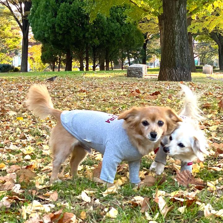 47a9bcd3 6390 45f3 aa30 88eea7ef2709 1668135377066