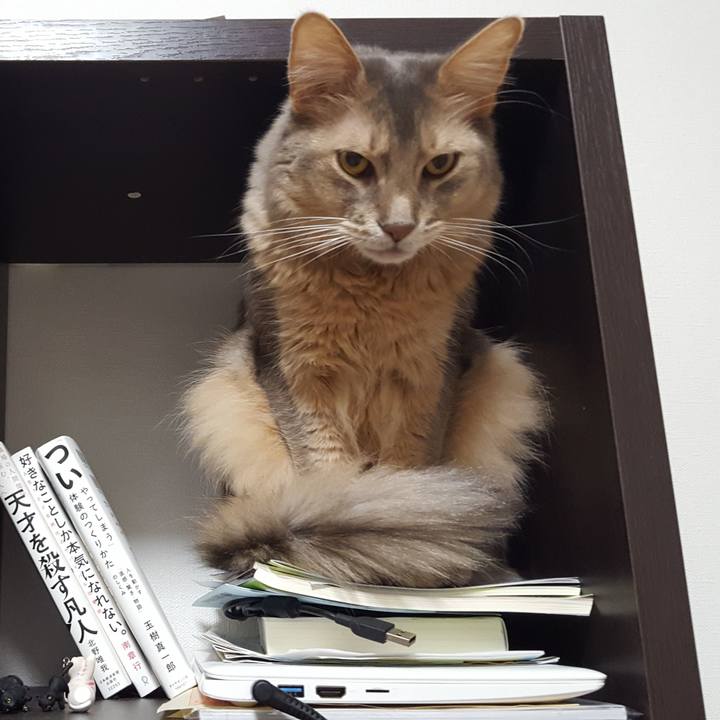 47a9bcef 0871 416a a6d6 b6f68e0be16b 1589975113473