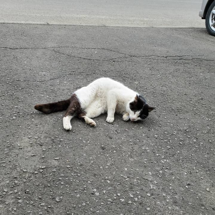 47a9fc3e db45 493b a71f fa5b1b9fb860 1712029450899