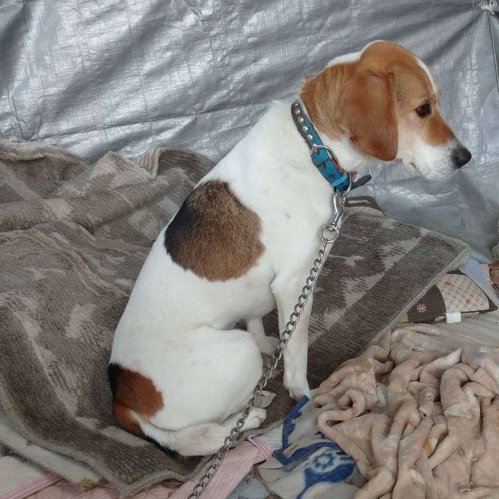 47aa0dc6 000b 4229 97f5 35e3841d855b 1613119655879