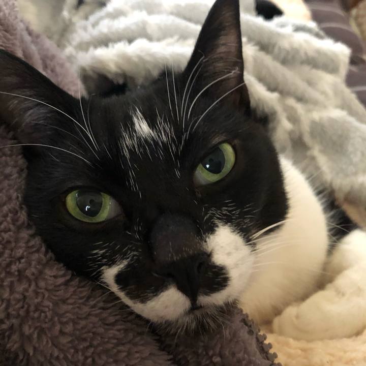 47aa0ea3 073a 4479 9b3a 701674059761 1643467221682