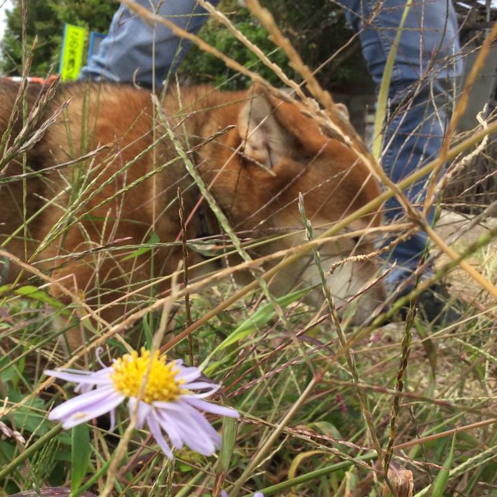 47aa1021 e2d2 4f6c 9771 53ab7d40dc7f 1602995567144