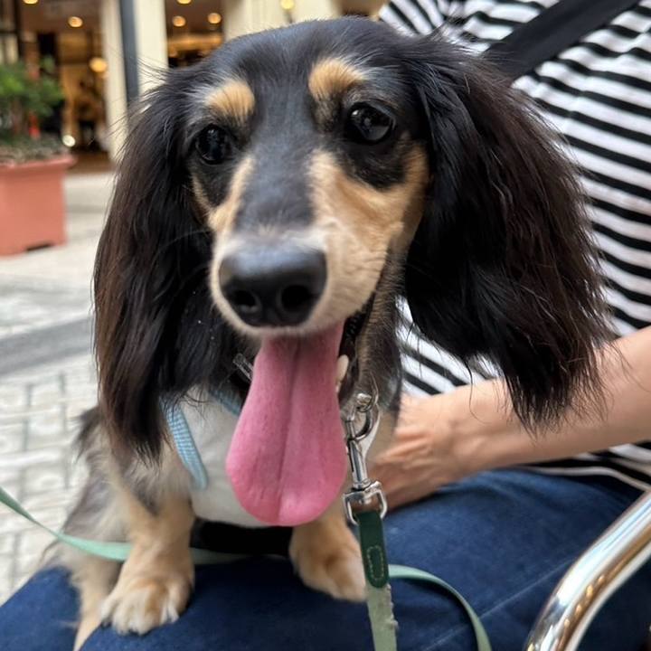 47aa20f7 7240 4935 bf20 54f7154464b8 1722816629773