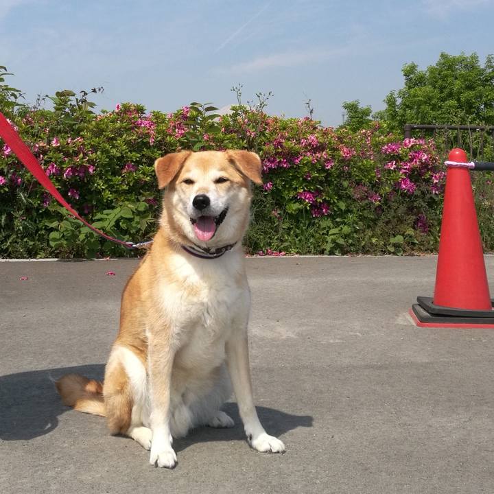 47aa3ff4 a030 4c83 bca5 7ec24316fc0f 1557563505841