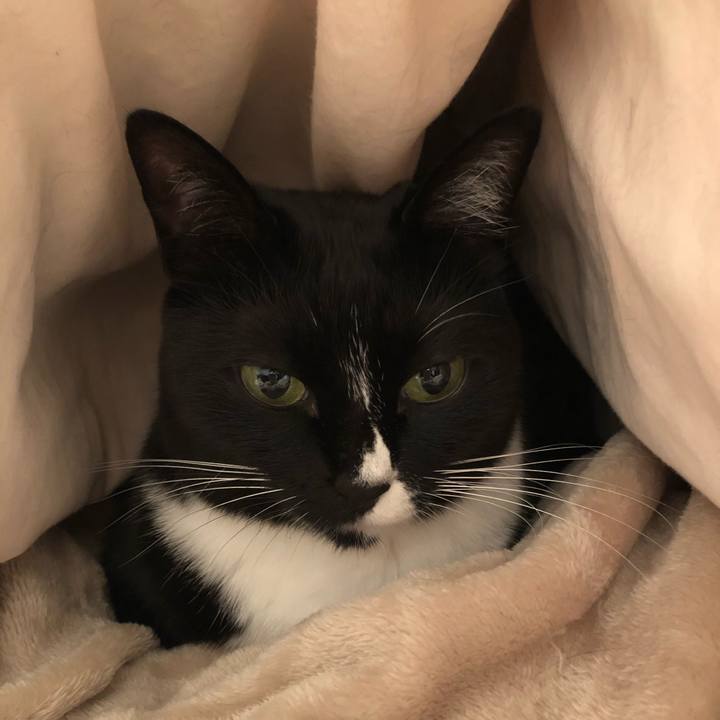 47aa4db9 6368 4e0e a3d2 a3355c541379 1545085396900