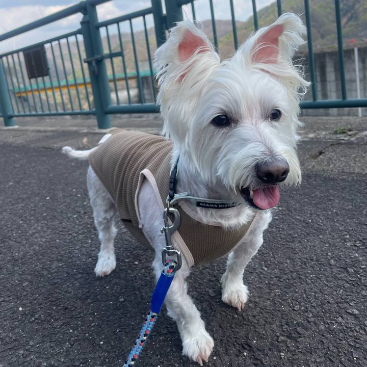 47aa5497 49f7 4718 97d0 a0012d8c52f2 1745639406303