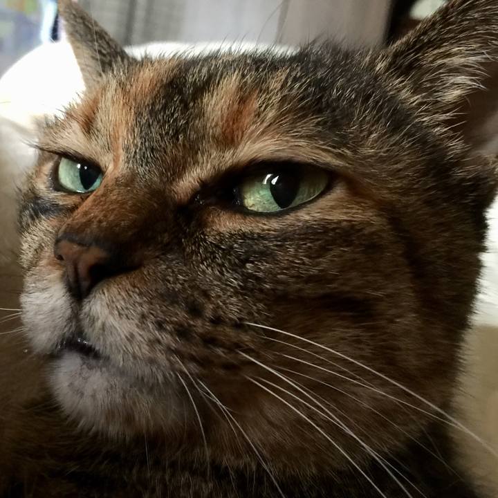 47aa5bb2 3d5f 499e a35c 479ec7b61d36 1589867526654