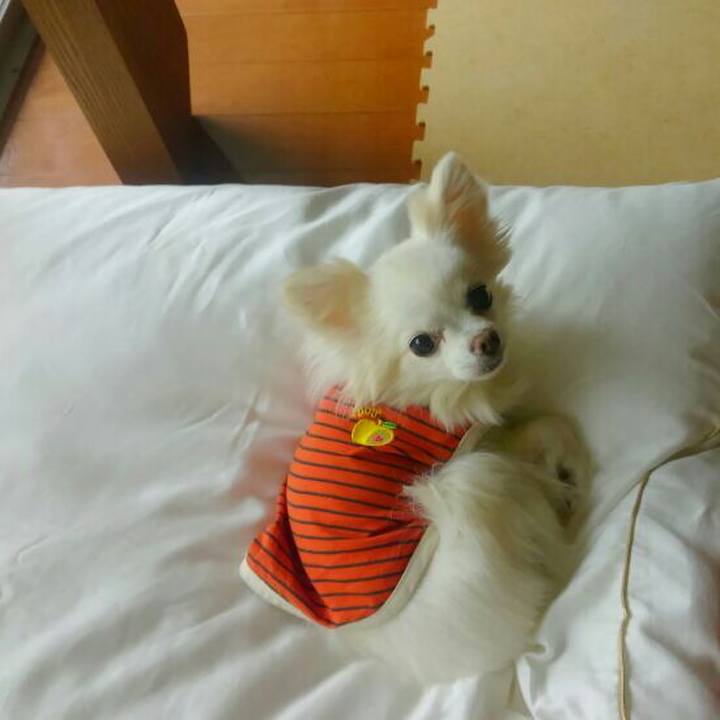 47aa5d9d 29d6 4808 8ac4 8cff9ce09519 1541330865285