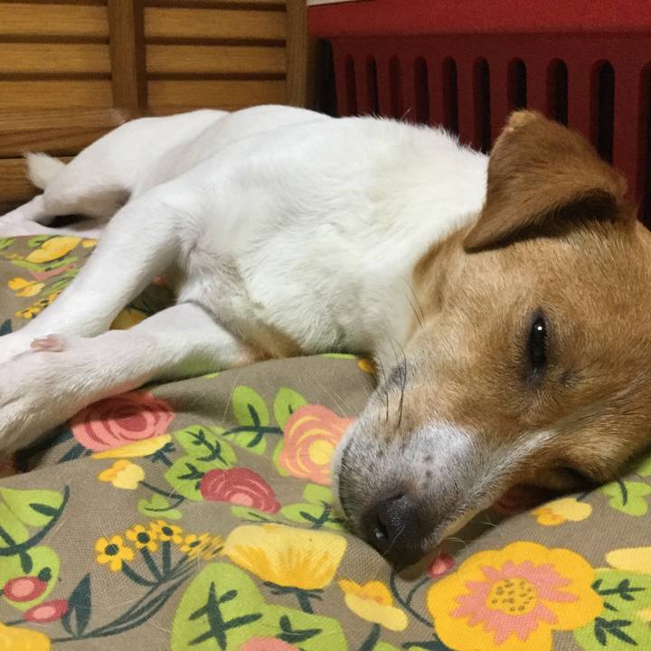 47aa6f77 c882 4644 8baa dceeb81534e9 1530356350467