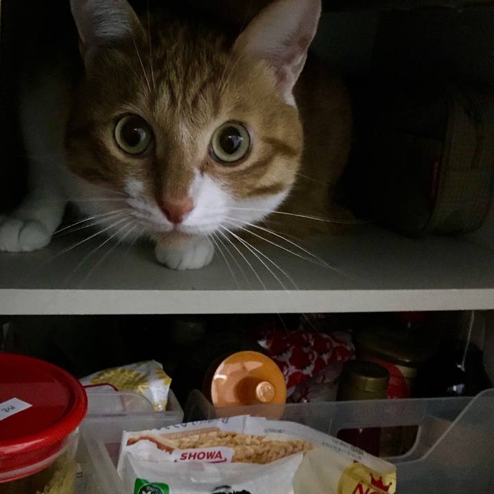 47aa7431 adcb 453e b526 747f15d0e0a3 1550392887831