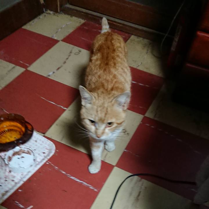 47aa96ba a512 4cf0 b0f1 ac18ba74cddb 1554754238967