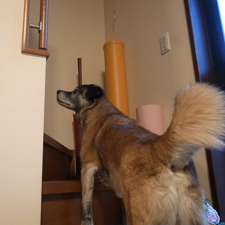 47aaa4f9 d312 4c2e b155 7759c716f240 1602461225120