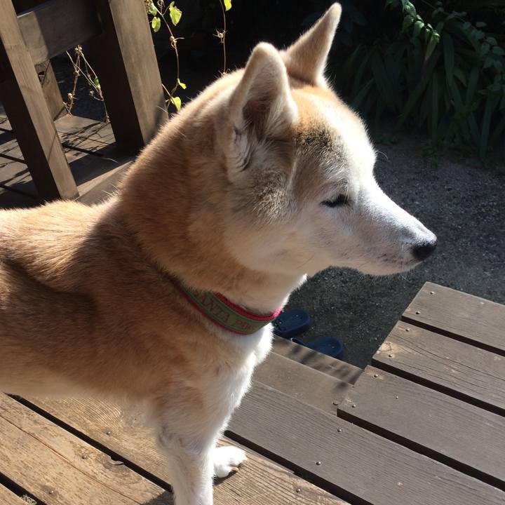 47aaa931 9c6d 4a29 b78a 57de1d0d4423 1572583829889