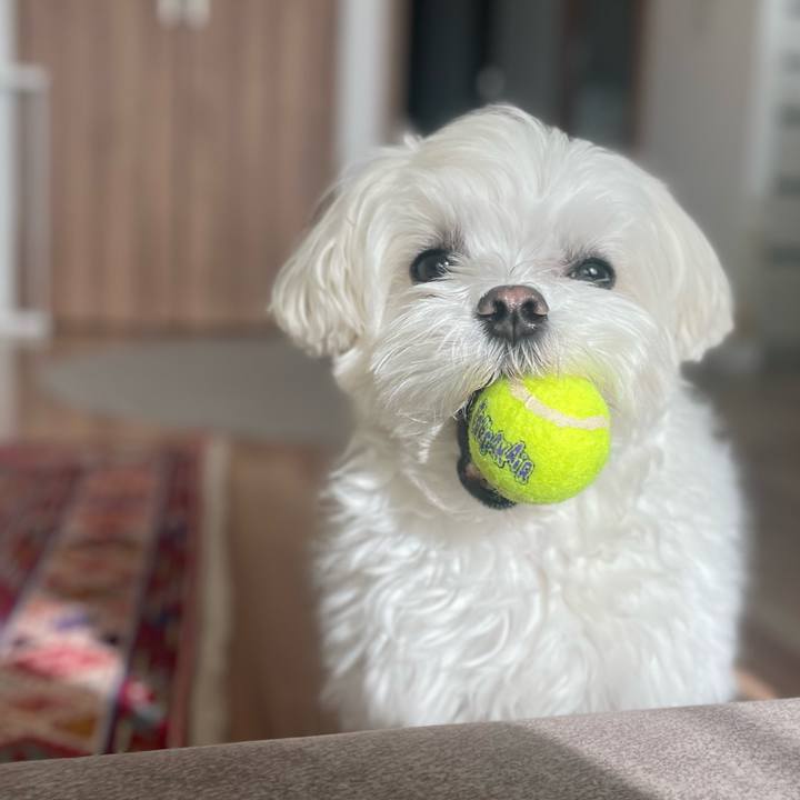 47aac9ea acb0 4875 a517 75fc7c898ccf 1769642149734