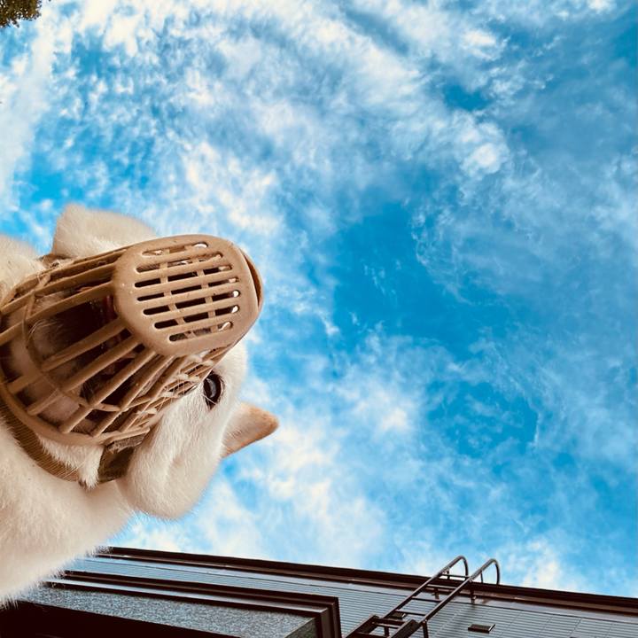 47aaefab d26e 4696 baf7 a7c745308898 1726531168854