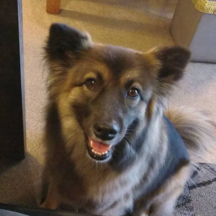 47ab1e55 3673 4991 a9f8 bf6b96316940 1763784738452