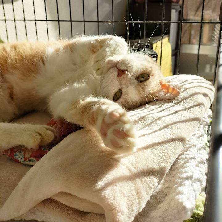 47ab6639 ad7f 4cb6 a76f 8549d9a81d54 1665791003431