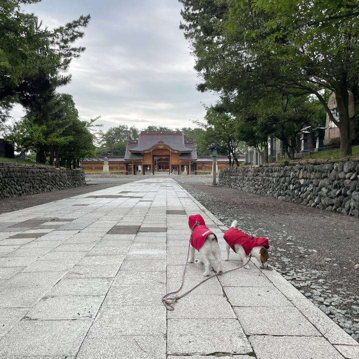 47ab914f ac46 4d84 8a46 c3a105c5c3a7 1658703475400